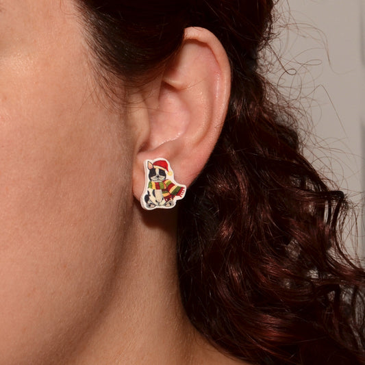 Cookie monster earrings and chocolate chip cookie